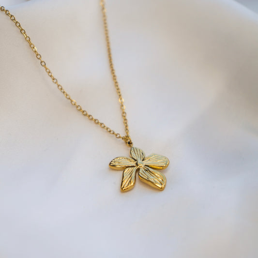 Collier Loï